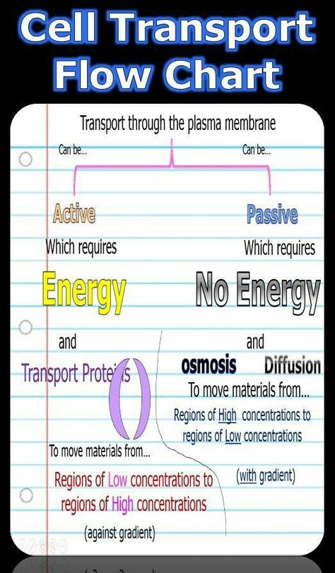 Biology Cell, Passive Transport, Active Transport, Cell Transport, Active Passive, Biology Resources, Compare Contrast, Dna Replication, Plasma Membrane