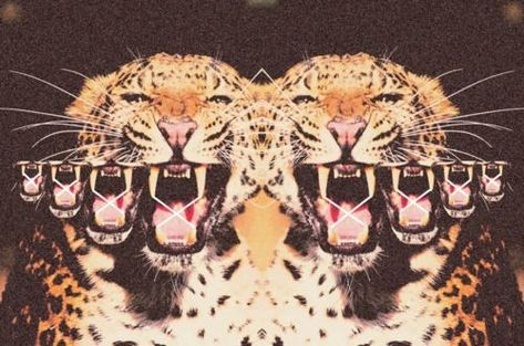 Psy Art, Wallpaper Tumblr, Leopards, Art Inspo, Feline, Banners, Art Reference, Mood Board, Vision Board