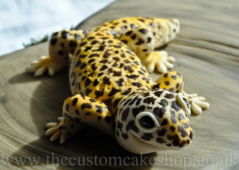 A 13th Birthday Cake with handmade leopard Gecko sat on a rock. Based upon the birthday boys pet!  www.thecustomcakeshop.co.uk www.facebook.com/TheCustomCakeShop Gecko Birthday Cake, Gecko Cake, Lizard Cake, Lightning Mcqueen Birthday Cake, Diy Sharpie Crafts, 13th Birthday Cake, Tasty Sweets, Homemade Gifts For Mom, Lego Birthday Cake