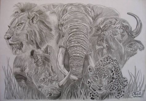 Big 5 Animals Drawings, Big 5 Animals, Cute Dog Drawing, Animals Drawing, To My Dad, Big 5, Pencil Art Drawings, Beautiful Rose Flowers, Dog Drawing