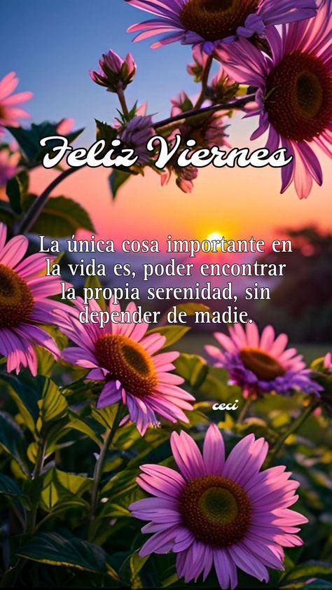 Spanish Quotes, Quotes, Gifts