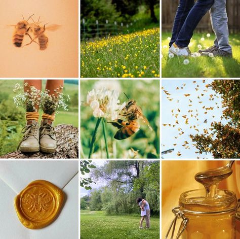 Honey and the Bee, Owl City, moodboard, aesthetic, my edits, All Things Bright and Beautiful All Things Bright And Beautiful, Music Collage, Moodboard Aesthetic, Owl City, Bright And Beautiful, Mood Board Design, The Bee, Cartoon Character Design, Aesthetic Collage