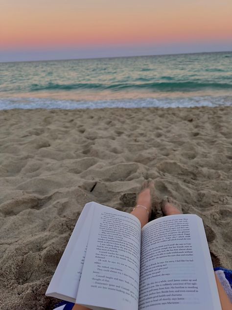 Read On The Beach, Beach Aquarium, Aquarium Of The Pacific, Brazil Aesthetic, Hilton Hawaiian Village Waikiki, Broadway At The Beach, Reader Girl, Beaches Turks And Caicos, Hilton Hawaiian Village