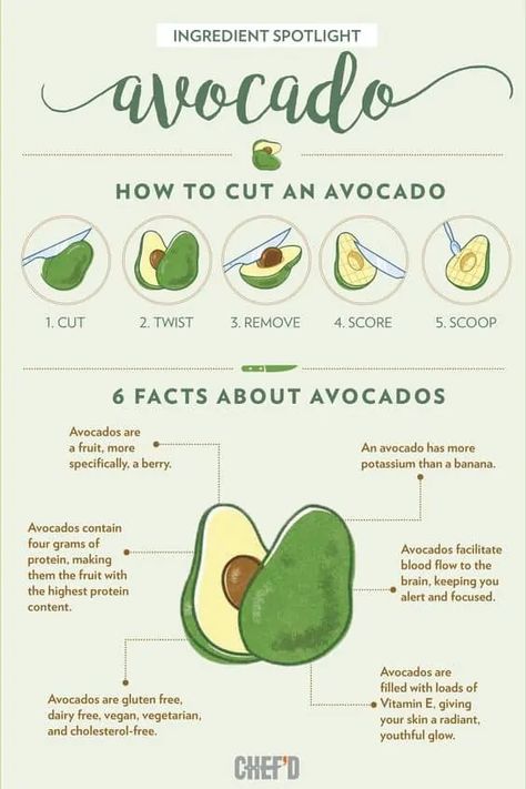 6 Surprising Facts About Avocados [Infographic] | Daily Infographic Avocado Infographic, Food Infographic Design, Avocado Facts, Infographic Examples, How To Cut Avocado, Infographic Layout, Infographic Inspiration, Food Infographic, Infographic Design Layout