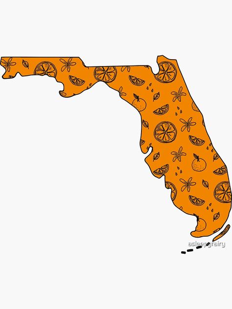 Florida Outline, Toddler Organization, Geography Activities, Florida Oranges, Map Of Florida, State Outline, Orange Background, Florida State, Orange Blossom