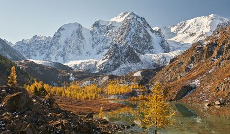 Eurasian Steppe, Altai Mountains, Landscape Reference, Siberia Russia, World Atlas, Mountain Living, Cultural Studies, Breathtaking Places, Beautiful Places On Earth