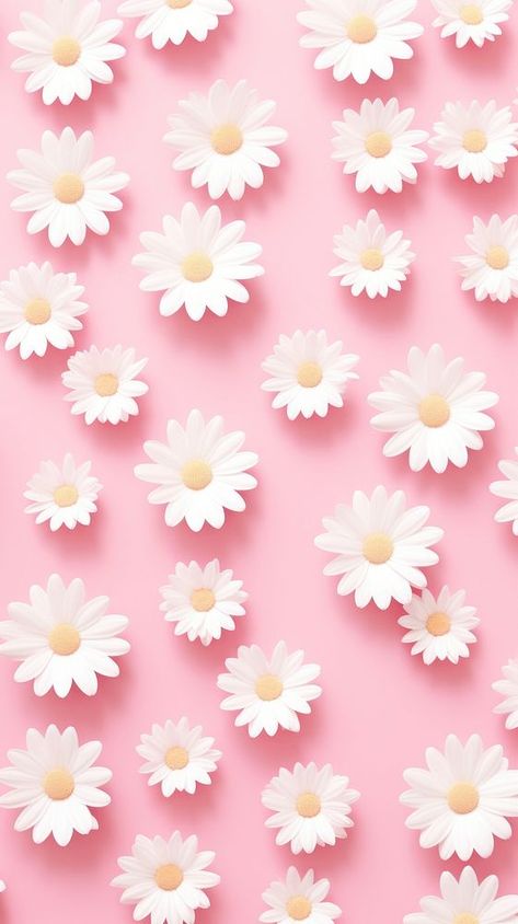 Wallpaper pattern flower daisy backgrounds. | premium image by rawpixel.com / Adjima Wallpaper Backgrounds Texture, Backgrounds Texture, Daisy Background, Card Backgrounds, Daisy Wallpaper, Greetings Quotes, Flower Daisy, Morning Greetings Quotes, Plant Aesthetic