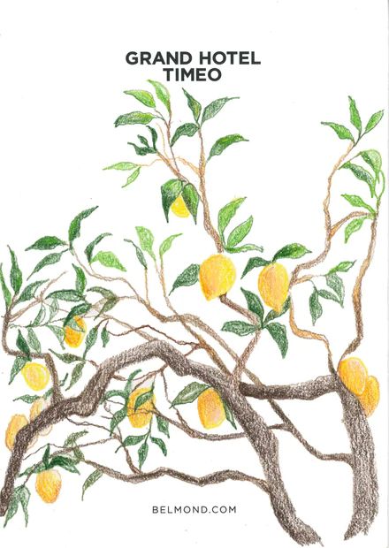 Prune lemon tree