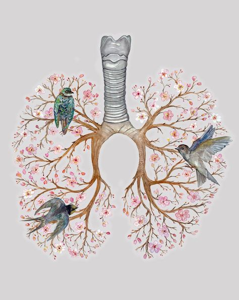 Lungs Drawing, Lungs Art, Lung Anatomy, Biology Art, Human Anatomy Art, Medical Art, Floral Poster, Arte Sketchbook, Anatomy Art