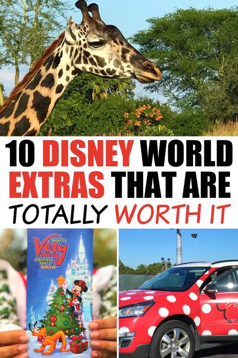 Looking to splurge at Walt Disney World? from 5 Diamond dining to behind-the-scenes tours, here are 10 Disney World extras that are totally worth it - and one you shouldn't waste your money on! #Disney #WDW #DisneyWorld #disneyPlanning #FamilyTravel #TravelSplurge Disney World Experiences, Disney Itinerary, Resorts Usa, Disney World Guide, Disney World Attractions, Walt Disney World Orlando, Orlando Theme Parks, Disney Blog, Disney Trip Planning