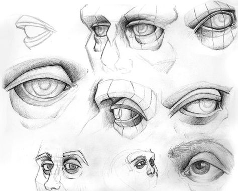 attachment.php (828×668) Inspiring Sketches, Construction Drawing, Eye Anatomy, Teaching Drawing, Anatomy Sculpture, Eye Drawing Tutorials, Hd Nature Wallpapers, Anatomy Sketches, Anatomy For Artists