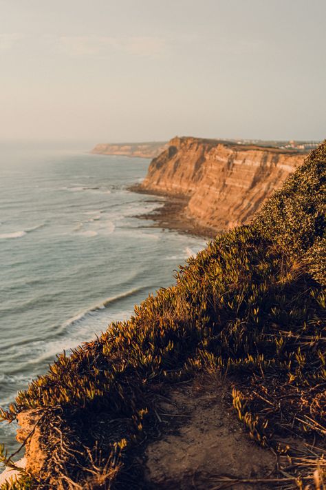 Aethos · Ericeira, Portugal - IGNANT Ericeira Portugal, Luxury Hospitality, Beach Buggy, Film Photography 35mm, Portuguese Tiles, Hospitality Projects, Local Farm, Coastal Landscape, Slow Living