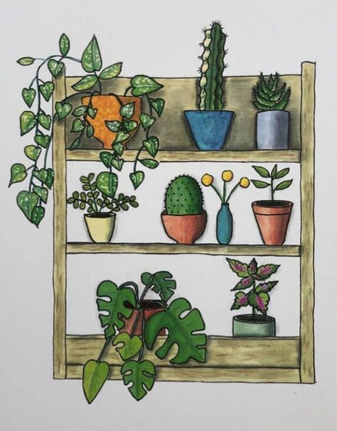 Origami Drawing, Drawing Cactus, Cactus Ideas, Cabinet Entryway, Plants Drawing, Pallet Shelf, Plant Sketches, Plant Doodle, White Shelf