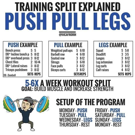 Leg Workout Split, Workouts Splits, Push Pull Workout Routine, Push Pull Legs Routine, Push Pull Legs Workout, Leg Workout Plan, Push Pull Workout, Workout Split, Push Pull Legs