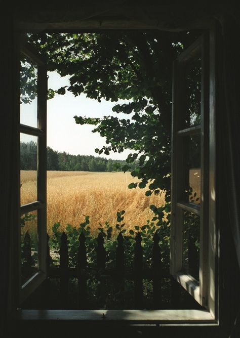 An Open Window, Nature Architecture, Window View, Open Window, Through The Window, Summer Set, Pretty Places, Narnia, Country Life