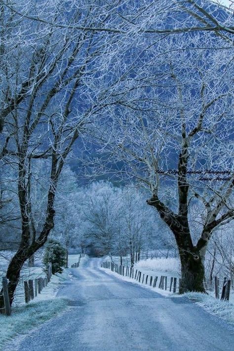 Cade's Cove in Winter Cades Cove Tennessee, Snow Fall, Tennessee Vacation, Cades Cove, Great Smoky Mountains National Park, Celebrity Travel, East Tennessee, Alaska Cruise, Alaska Travel