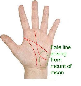 Indian Palmistry, Palmistry Reading, Chinese Numerology, Triangle Sign, Palm Lines, Lucky Sign, Know Your Future, Creative Cv, Hand Lines