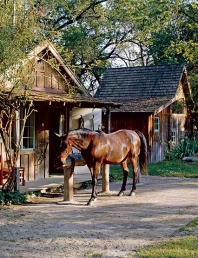 Cattle Farm, Rodeo Cowboys, California Ranch, Anjelica Huston, Cowboy Horse, Country Kids, Country Lifestyle, Central Valley, Horse Ranch