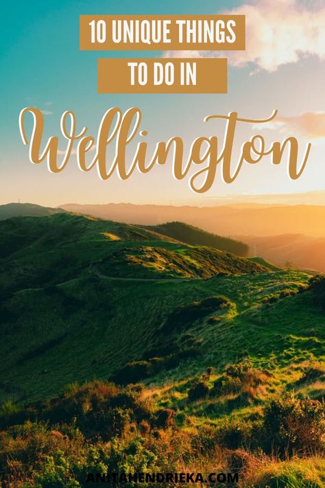 The capital of New Zealand is a must-visit! Check out these 10 things you can't miss when you visit Wellington. If you're planning a New Zealand vacation or are thinking of backpacking New Zealand, then you need to read this. This blog post is all about the 10 most unique things to do in Wellington, New Zealand! What To Do In New Zealand, Best Things To Do In New Zealand, Things To Do In Wellington New Zealand, New Zealand In August, Picton New Zealand, Hiking New Zealand, New Zealand Cities, New Zealand Beach, Nz Travel