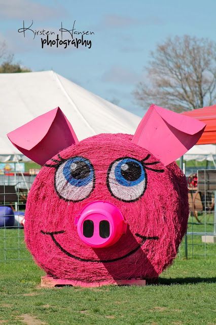 Hay Bale Animals, Painted Round Hay Bales, Fair Parade Float Ideas, Hay Roll Decorating Ideas, Hay Bale Painting Ideas, Painted Hay Bales Fall, Round Hay Bale Decorating Ideas Fall, Hay Bale Art Ideas, Halloween Hay Bale Ideas