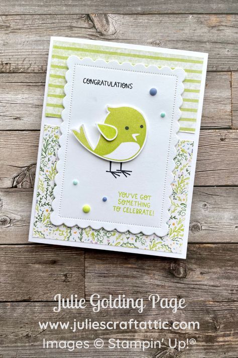 Sweet Songbirds, Sweet Songbirds Su Cards, Su Best Birds Cards, Bird Birthday Cards Handmade, Stampin Up Sweet Songbirds, Stampin Up Swirly Bird, Boutique Cards, Graduation Cards Handmade, Feather Cards