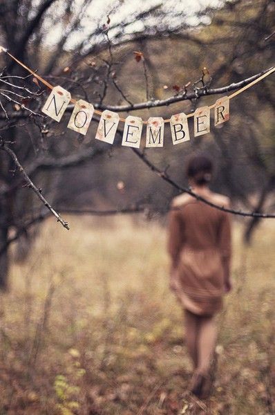 November Hello November, Foto Tips, Seasons Of The Year, Samhain, Pics Art, A Sign, Months In A Year, Autumn Inspiration, Autumn Day