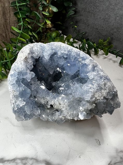 Geode Aesthetic, Crystals For Aquarius, Celestite Crystal, Witchcraft Books, Museum Displays, Large Cabinet, Magic Aesthetic, Pretty Rocks, Cool Rocks