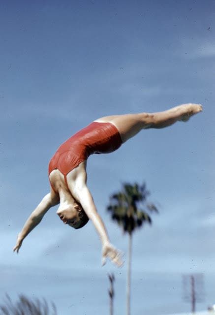 Wonderful Color Photographs From the 1959 A.A.U Swimming and Diving Championships in Palm Beach, Florida ~ Vintage Everyday Diving Springboard, Women's Diving, Female Pose, Istoria Artei, Vintage Swim, Into The Water, Swimming Diving, Dynamic Poses, Figure Drawing Reference