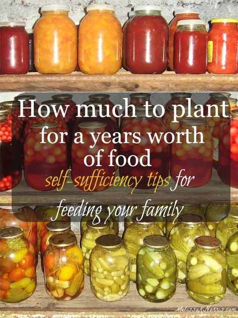 Learn how much you need to plant in order to have enough food to feed your family for a year. Great info to know for lowering your food bill and becoming more self-sufficient. Grab this now to know how much to put in of each plant, plus tips on which vegetables will give you the most nutritional value. Gardening Guide, Homestead Gardens, Food Garden, Nutritional Value, Grow Your Own Food, Flowers Garden, Veggie Garden, Growing Food, Farm Gardens