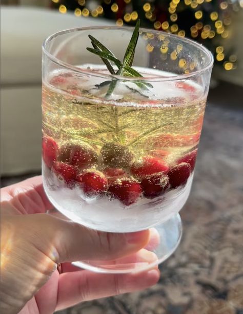 SNOWGLOBE COCKTAIL - cheesegal.com Tailgate Treats, Greek Turkey Meatballs, Cranberry Drinks, Gluten Free Instant Pot, Breakfast Cocktails, Paleo Side Dishes, Paleo Sides, Gingerbread Party, Dairy Free Dessert