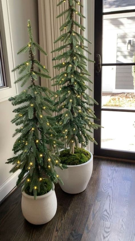 Pre-lit Christmas Tree, Christmas Tree Positioning, Popular Christmas Colors 2024, Commercial Christmas Decor Ideas, Alpine Christmas Tree Ideas Decor, Christmas Decor Green And White, White And Wood Christmas Decor, Christmas Decor Ideas Color Scheme, Green And White Christmas Decor Ideas