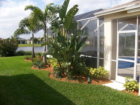 Swimming Pool Area Landscaping Projects Poolside Landscape Ideas, Pool Area Landscaping, Plants Around Pool, Pool Screen Enclosure, Swimming Pool Area, Landscaping Around Pool, Pool Cage, Poolside Decor, Florida Pool