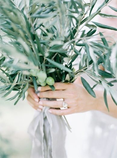 Olive Grove Wedding, Goddess Wedding, Olive Green Weddings, Olive Wedding, Wedding Color Combos, Phuket Wedding, Olive Grove, Tuscan Wedding, Tuscany Wedding