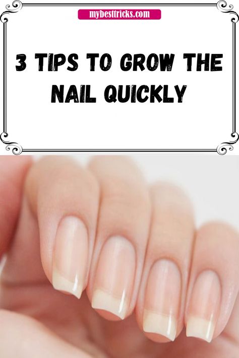 Make Nails Grow, Grow Long Nails, Nail Growth Tips, Nail Natural, Grow Nails Faster, Nail Extensions Designs, Spring Nails Ideas, Nails Shape, Real Nails