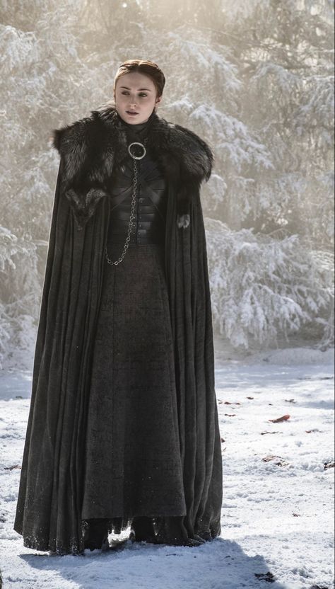 Winterfell Dress, Sansa Stark Dress, Sansa Stark Costume, Sansa Stark Queen, Ae Outfits, Drama Clothes, Game Of Thrones Sansa, Game Of Thrones Outfits, Tudor Fashion