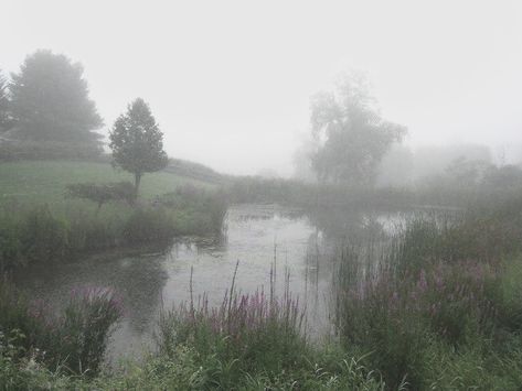 Foggy Weather, Foggy Forest, Soft Grunge, Nature Aesthetic, Flower Field, Land Scape, Mother Nature, Beautiful Nature, Lush