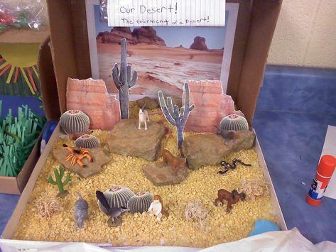 Desert Diorama Examples Scorpion Habitat Diorama, Ecosystems Diorama, Landform Projects, Biome Project, Desert Habitat, Desert Project, Biomes Project, Desert Diorama, Diorama Project