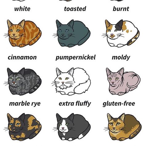 The Types of Cat Loaf Cat Bread Loaf, Cat Bread, Cat Loaf, Bread Loaf, Bread, For Sale, T Shirt