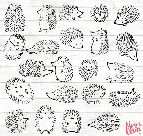 Hedgehog Doodle, Hedgehog Clipart, Hedgehog Drawing, Hedgehog Illustration, Planner Doodles, Hedgehog Print, Soyut Sanat Tabloları, Hedgehog Art, Art Carte