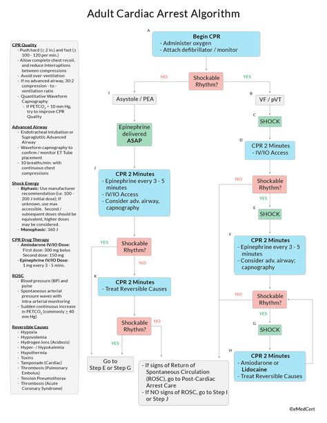 Acls Algorithm, Neuro Nurse, Crna School, Medical Management, Medication Management, Cardiology, Garden Ideas, Nursing, To Learn