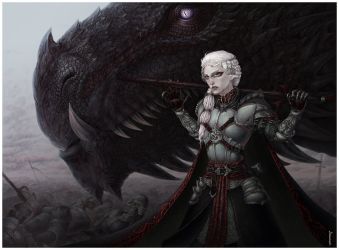 Visenya Targaryen by ProKriK Visenya Targaryen, Game Of Thrones Books, Game Of Thrones Artwork, Targaryen Art, Asoiaf Art, Female Armor, Throne Of Glass Series, Game Of Thrones Art, Valar Morghulis