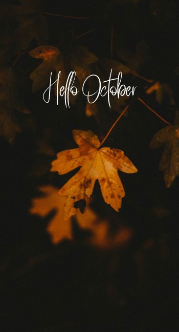 Iphone Wallpaper Hello October October Is Magic, Happy October Images, Hello October Wallpapers, Hello October Aesthetic, Hello October Quotes, Welcome October Images, October Background, Hello October Images, Wallpaper October