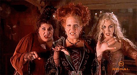 'Hocus Pocus' Sequel to Film in Salem This Summer Hocus Pocus Gif, Hermanas Sanderson, Halloween Rules, 31 Nights Of Halloween, Hocus Pocus 1993, Kathy Najimy, Hocus Pocus Movie, Halloween Gifs, Sarah Sanderson