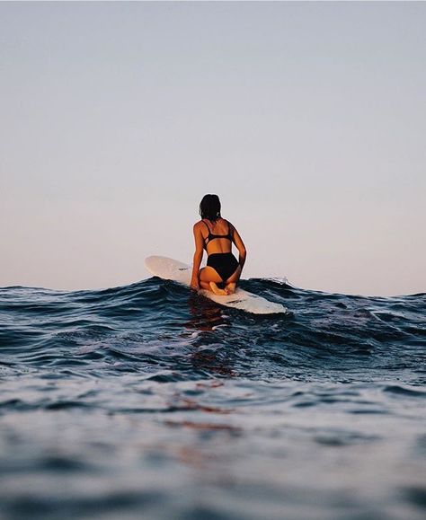 Surfing Reference, Wave Photography, Bible Board, Rosa Hair, Surfing Aesthetic, Mavericks Surfing, Surf Aesthetic, Surf Spots, Waves Photography