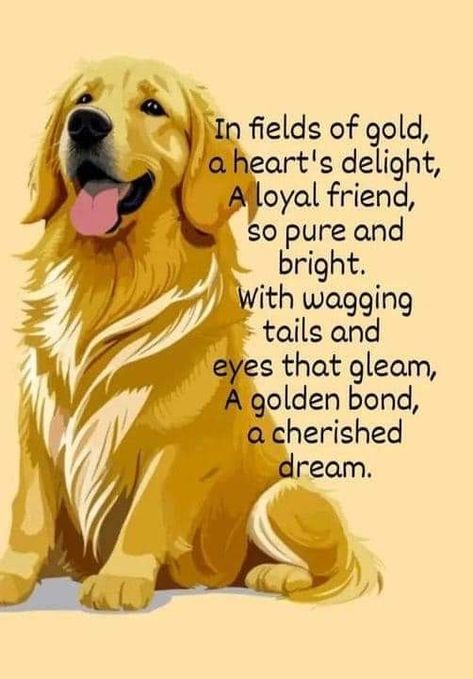 Golden Doodle Quotes, Golden Retriever Quotes Love, Golden Retriever Quotes Funny, Love Dogs Quotes Heart, Golden Retriever Quotes, Happy Saturday Quotes, Golden Retriever Art, Dog Poems, Dog Quotes Love