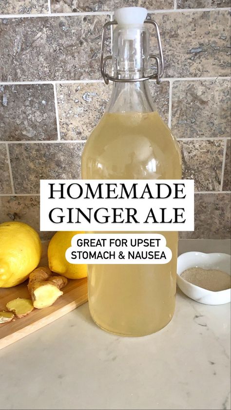 Jayde Gut Health Nutritionist’s Instagram profile post: “Ginger is incredible for an upset stomach. It has been used historically for morning sickness, nausea, and vomiting.  Ginger also has…” Ginger Drink For Nausea, Ginger Drink Recipe, Ginger For Nausea, Ginger Ale Recipe, Homemade Ginger Ale, Ginger Bug, Morning Sickness Remedies, Fermented Drinks, Benefits Of Ginger