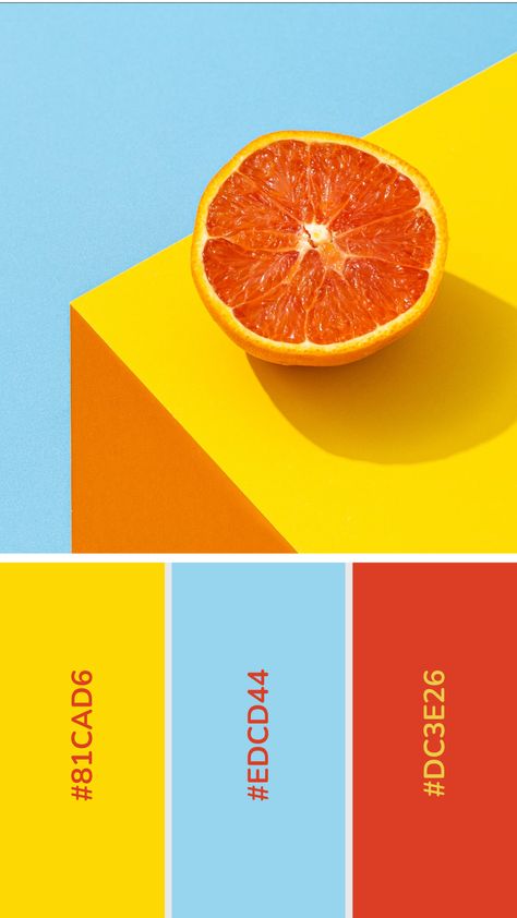 Fonts For Business, Business Fonts, Color Design Inspiration, Color Palette Yellow, 타이포그래피 포스터 디자인, Professional Fonts, Color Schemes Colour Palettes, Inspiration Logo Design, Color Palette Bright