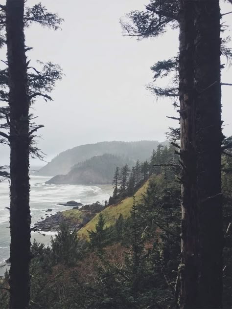 Moody Oregon Coast, Oregon Coast Aesthetic, Oregon Aesthetic, Ecola State Park, Dark Naturalism, Cannon Beach Oregon, Twilight Aesthetic, Between Two Worlds, State Of Oregon