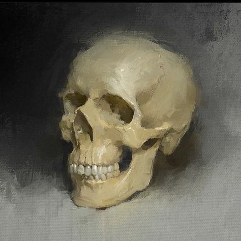 Skeleton Oil Painting, Bust Painting, Gothic Oil Painting, Dark Academia Painting, Skull Watercolor, Prisoner Of Azkaban, Skull Painting, Vintage Skull, Painting Inspo