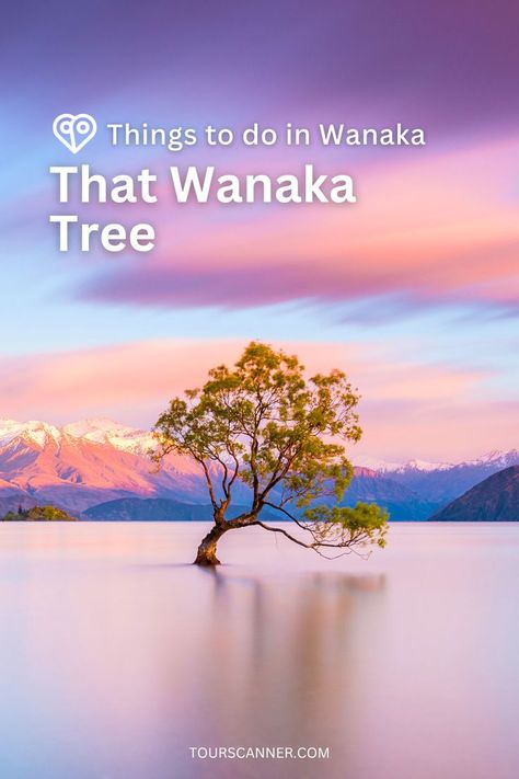 🌿 Meet the Iconic That Wanaka Tree! 🌅 This lone tree in Lake Wanaka is a photographer's paradise. Ready for more picturesque moments? Explore them in our blog! 👉🔗 #ThingsToDoInWanaka #ThatWanakaTree Wanaka Tree, Wanaka New Zealand, Nature Hike, Lake Wanaka, Lone Tree, Fun Things, Fun Things To Do, New Zealand, Paradise